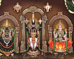 Image of Venkateswara Temple, Tirupati (medium)