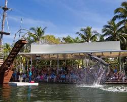 Image of Theater of the Sea, Islamorada Florida Keys