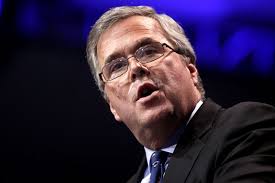 Image result for jeb bush