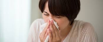 スギ花粉症はスズで悪化? 研究