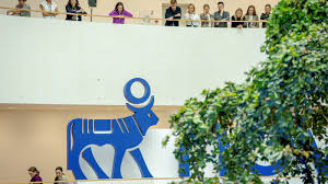 novo nordisk stock