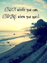Enjoy while you can, Endure when you must | These Words ... via Relatably.com