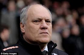 Measured: Martin Jol could make a move for Emanuel Pogatetz - article-2267932-16E4A224000005DC-783_468x306