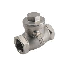 Guardian 1 in. 316 Stainless Steel 200 PSI Swing Check Valve ...