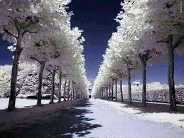 Image result for u202bمتن زمستونu202clrm;