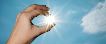 Image result for vit d