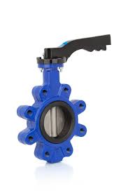 Amazon.com: UNOX (DN250) 10 inch Lug Type Butterfly Valve ...