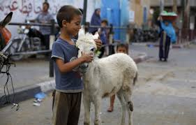 Image result for pictures Gazan boys beach