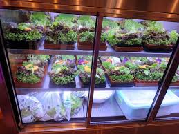 Résultat de recherche d'images pour "くるむ"