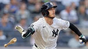 Chicago White Sox vs. New York Yankees: Game Highlights