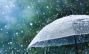 Monsoon hits Kerala late; likely to enter eastern Nepal by mid-June