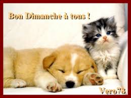 Résultat de recherche d'images pour "bon dimanche"