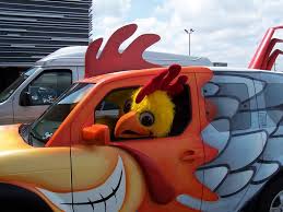 Image result for chicken pictures car