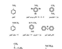 صورة الأمينات