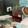 Story image for Public V. Private Cord Blood Banking from The Hindu