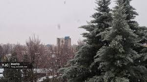آغاز بارش برف در بام ایران+فیلم