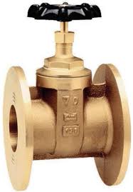 Gate & Globe Valves | V-Flow Solutions