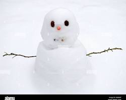 Image of snowman with twig arms