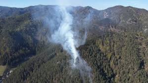 Wegen Trockenheit - Nächster Waldbrand im Bezirk Wiener Neustadt