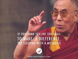 Mosquito Dalai Lama Quotes. QuotesGram via Relatably.com