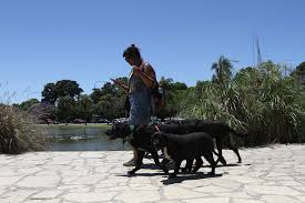 Pronóstico del tiempo en Buenos Aires: 26 grados y condiciones de sol en el AMBA el jueves 12 de marzo