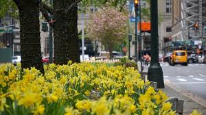 NYC celebrates Earth Day with car-free streets and events