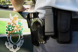 GNR deteve 20 pessoas à porta de festival de música em Seia