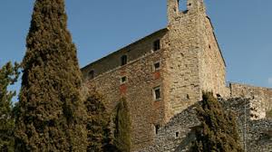 Trend Google: cortona