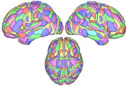 Resultado de imagen para brain art