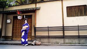 Image result for Sayuki geisha