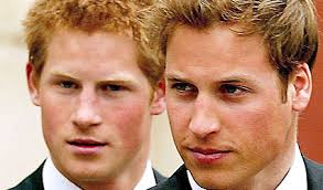 Princes Harry and William - princewilliamprinceharry-20621