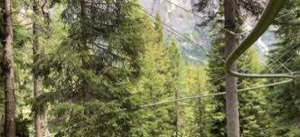 Trend Google: fly-line catinaccio rosengarten