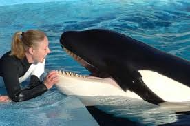 Unna's Gallery – Inherently Wild