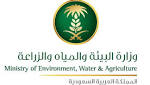 #البيئة تصدر الإيجاز اليومي لمتابعة
