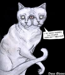 Bildergebnis für janus cat