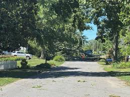 Thousands in Anne Arundel without power after punishing Friday storm