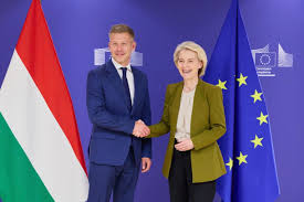 Péter Magyar : ce qu'il faut savoir — image 4