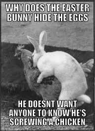 Why does the Easter bunny hide the eggs? | Funny Pictures, Quotes ... via Relatably.com