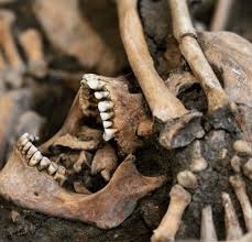 Genetics may explain tendency towards violence in our evolutionary history - Genetic Literacy Project