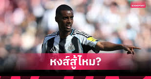 Siamsport - News update