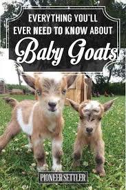 Image result for GOAT