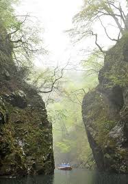 岩壁と若葉、神秘的に 長井ダム湖、ボート運航始まる（山形新聞）