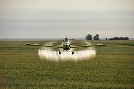 How To Reduce Your Exposure to Pesticides