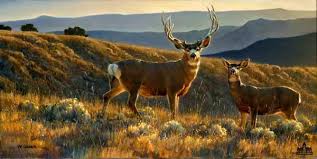 Image result for deer painting