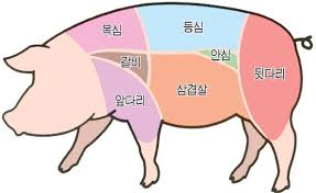 돼지고기 부위별 명칭과 용도에 대한 이미지 검색결과