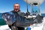 Sea bass fishing trips