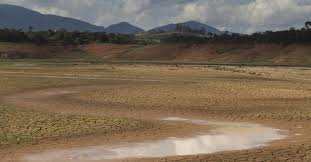 Resultado de imagem para fotos das margens do sistema cantareira