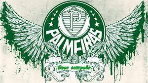 Resultado de imagem para PALMEIRAS CAMPEÃO BRASILEIRO 2016