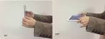 rio 2 cast parrots pictures birds