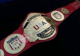 NWA UNITED STATES TAG TEAM 24K GOLD Zinc Championship Belt